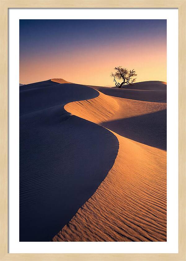 Mesquite Flat Sand Dunes At Sunrise
