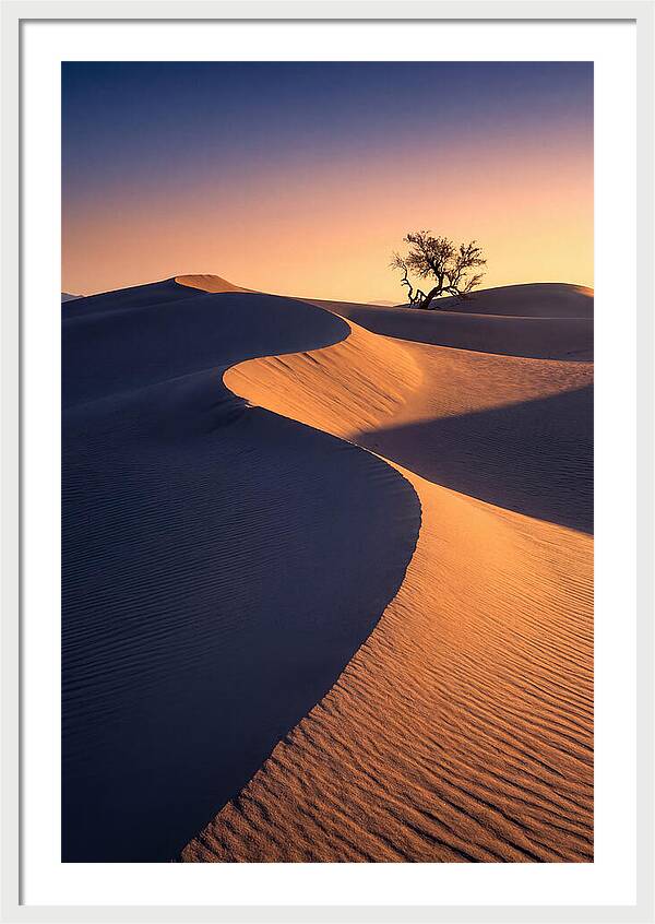 Mesquite Flat Sand Dunes At Sunrise