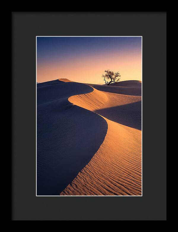 Mesquite Flat Sand Dunes At Sunrise