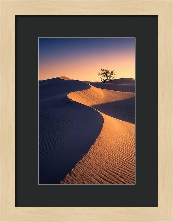 Mesquite Flat Sand Dunes At Sunrise