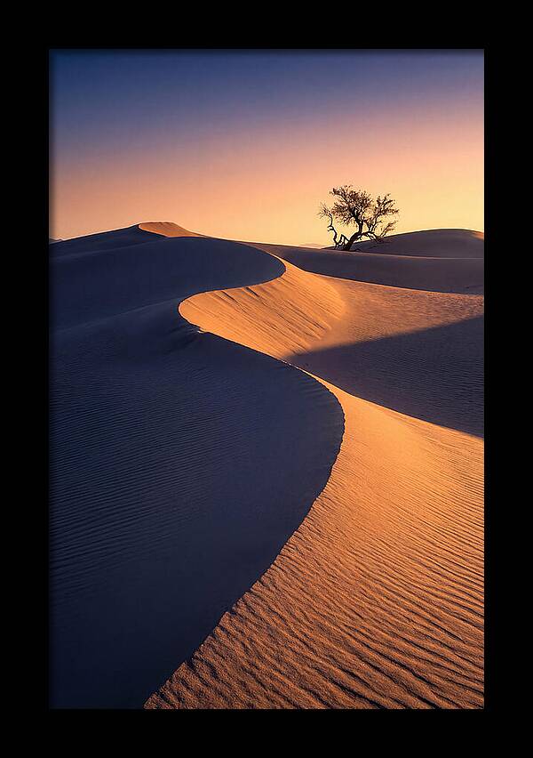 Mesquite Flat Sand Dunes At Sunrise
