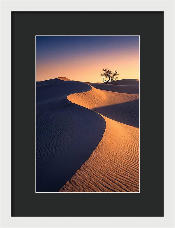 Mesquite Flat Sand Dunes At Sunrise