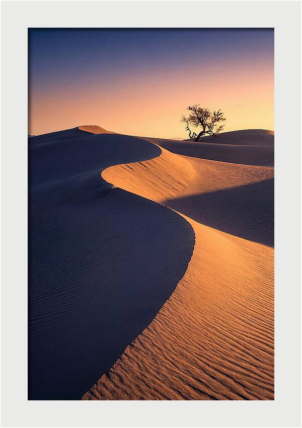 Mesquite Flat Sand Dunes At Sunrise