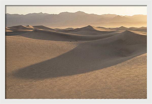 Mesquite Flat Sand Dunes At Sunrise