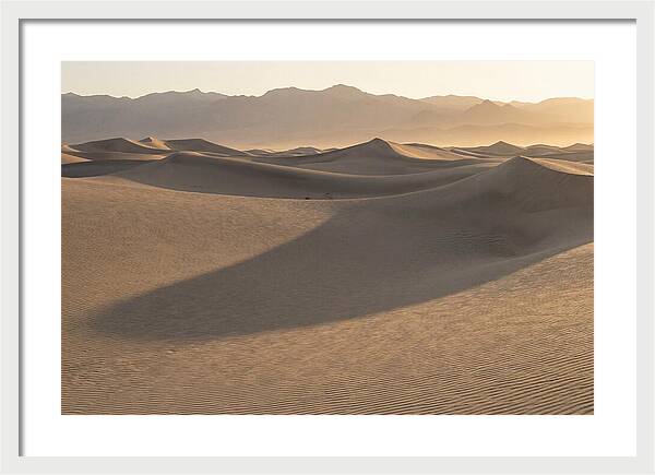 Mesquite Flat Sand Dunes At Sunrise