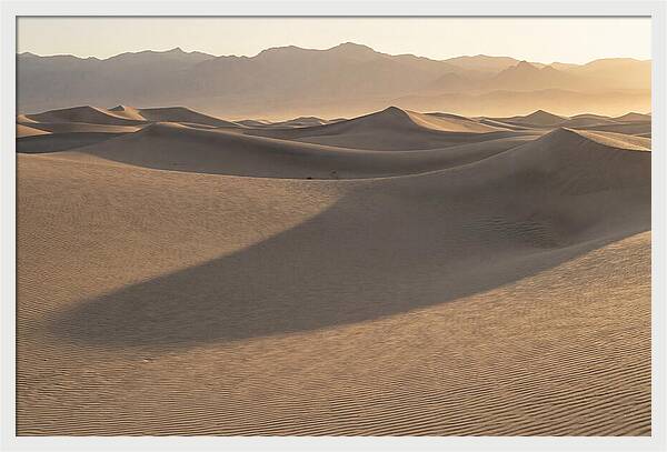 Mesquite Flat Sand Dunes At Sunrise