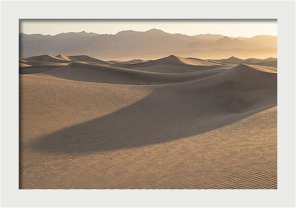 Mesquite Flat Sand Dunes At Sunrise