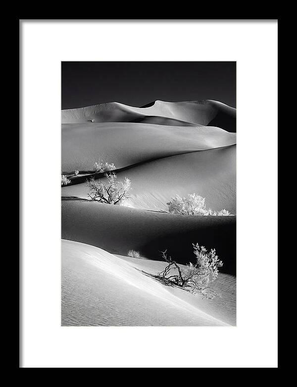 Mesquite Flat Sand Dunes Serenity