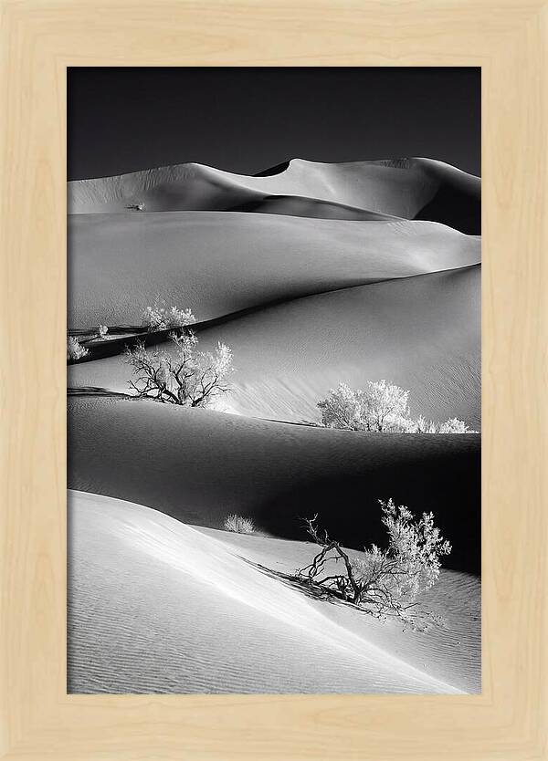 Mesquite Flat Sand Dunes Serenity