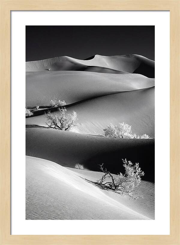 Mesquite Flat Sand Dunes Serenity