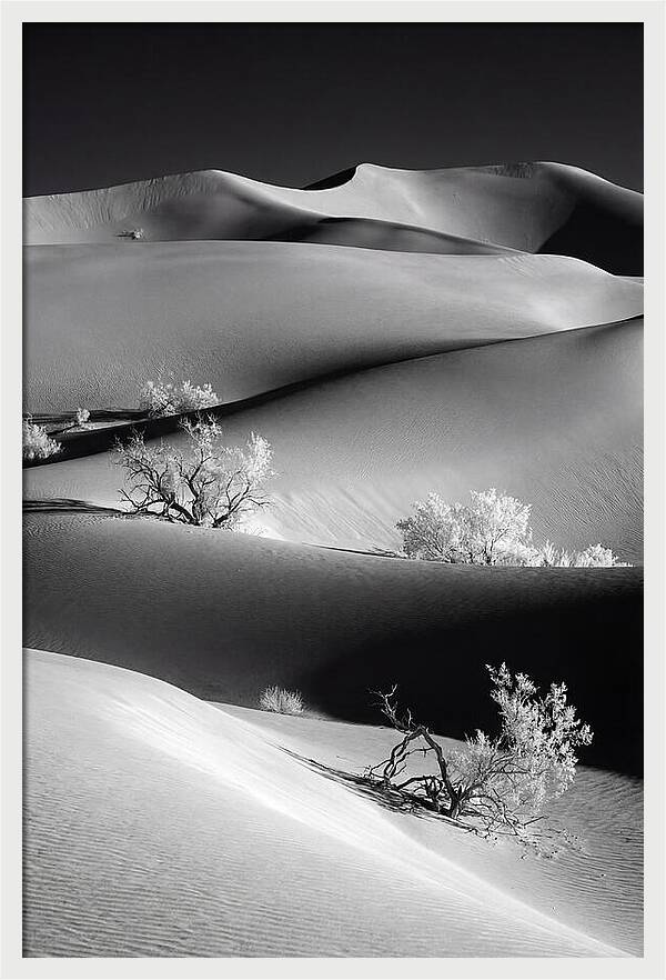 Mesquite Flat Sand Dunes Serenity