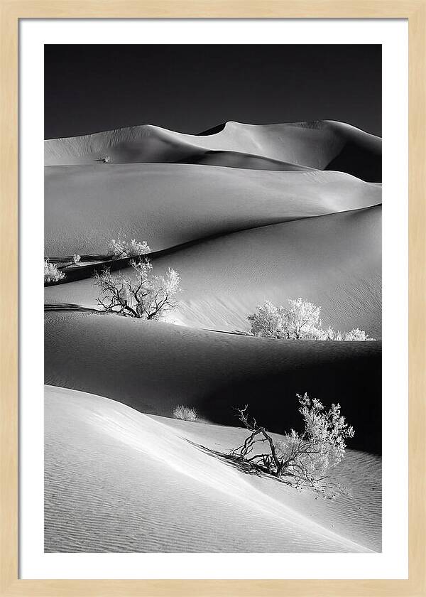 Mesquite Flat Sand Dunes Serenity