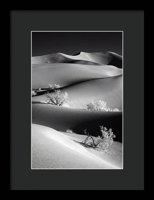 Mesquite Flat Sand Dunes Serenity