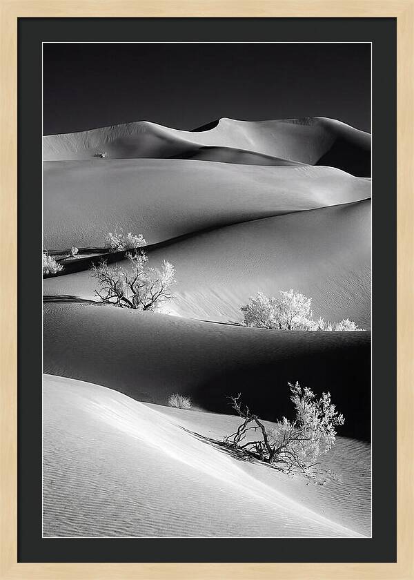 Mesquite Flat Sand Dunes Serenity