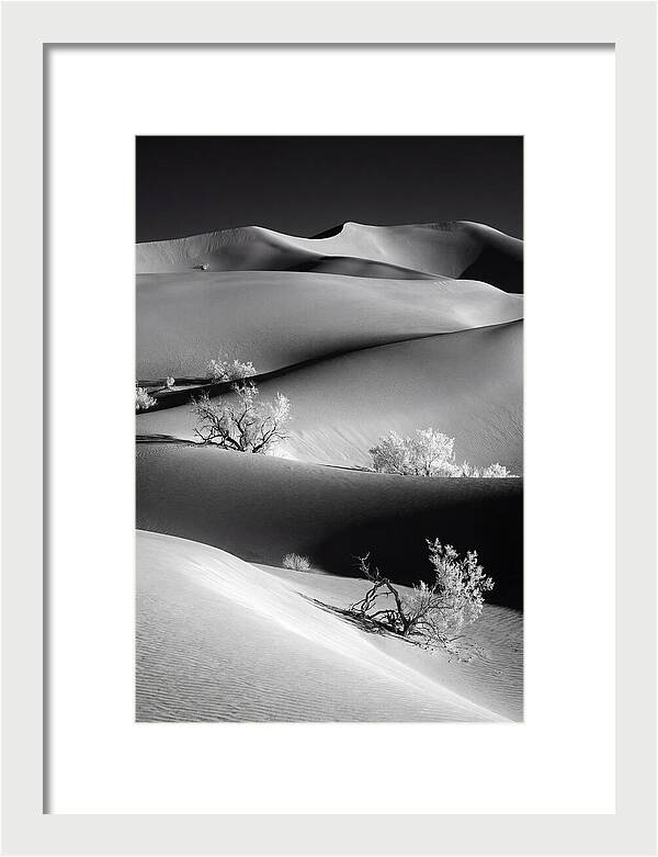 Mesquite Flat Sand Dunes Serenity