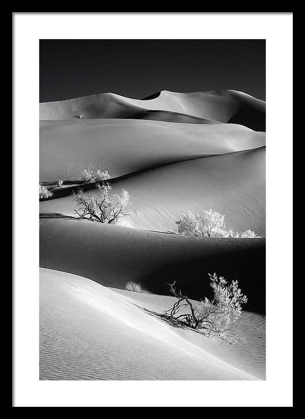 Mesquite Flat Sand Dunes Serenity