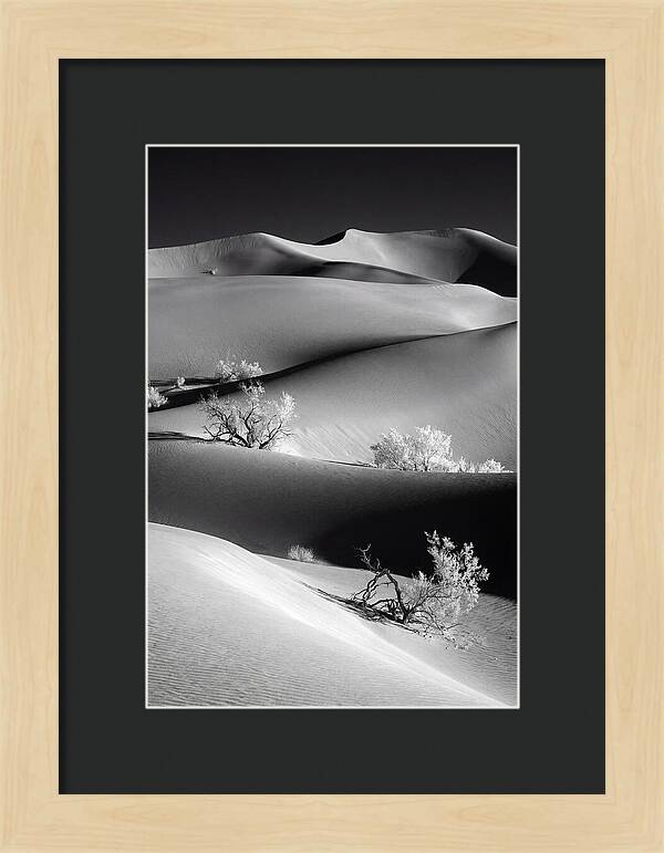 Mesquite Flat Sand Dunes Serenity