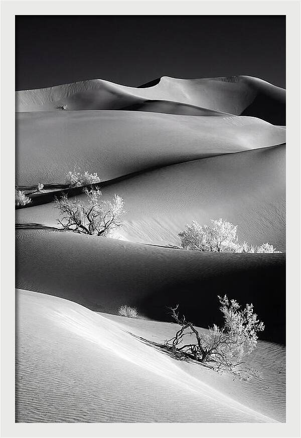 Mesquite Flat Sand Dunes Serenity
