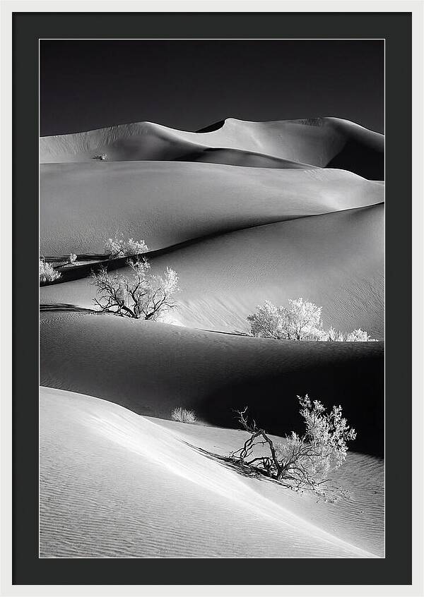 Mesquite Flat Sand Dunes Serenity