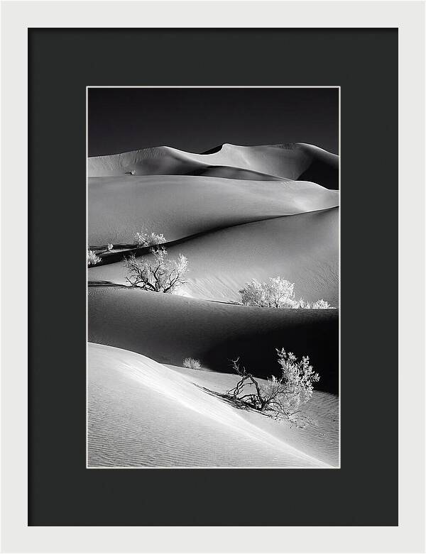 Mesquite Flat Sand Dunes Serenity