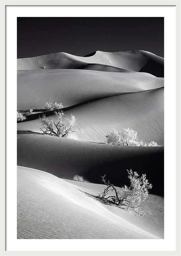 Mesquite Flat Sand Dunes Serenity