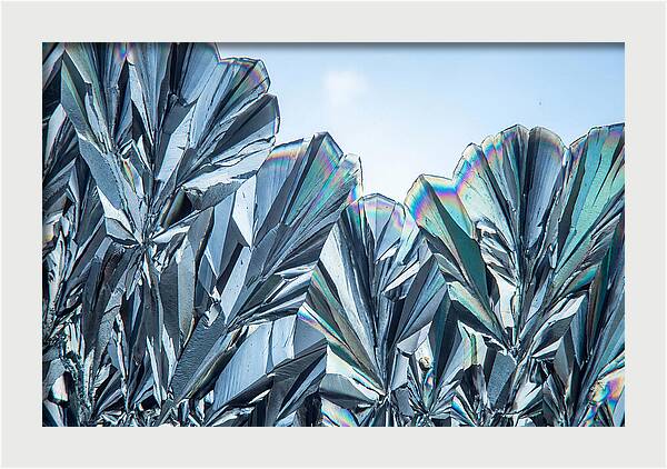 Microscopic Crystal Growth