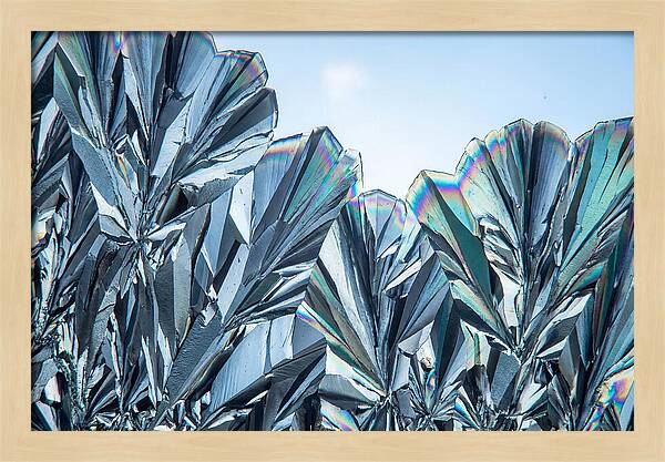 Microscopic Crystal Growth