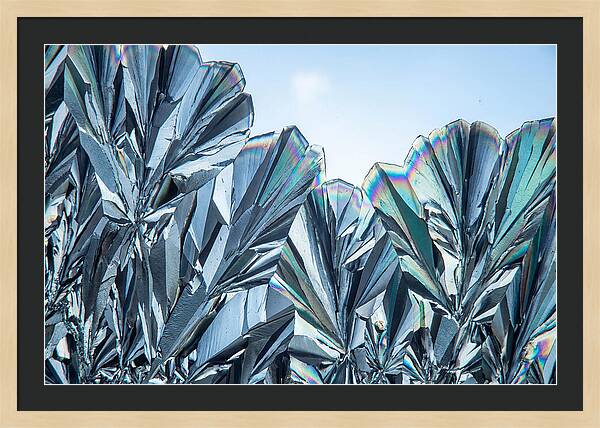 Microscopic Crystal Growth