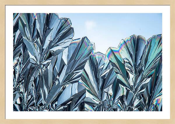 Microscopic Crystal Growth