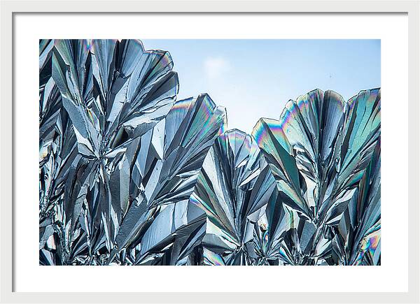 Microscopic Crystal Growth