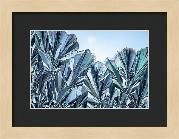 Microscopic Crystal Growth