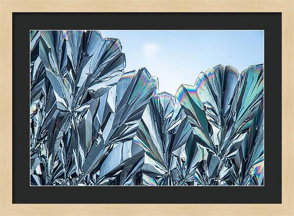 Microscopic Crystal Growth