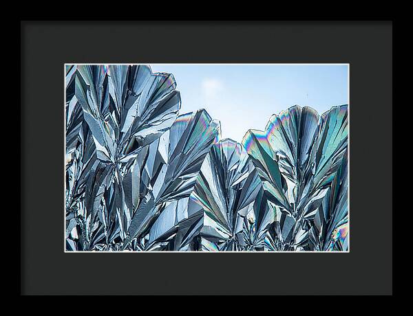 Microscopic Crystal Growth