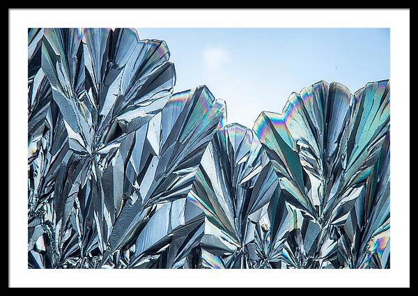Microscopic Crystal Growth