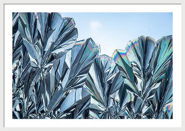Microscopic Crystal Growth