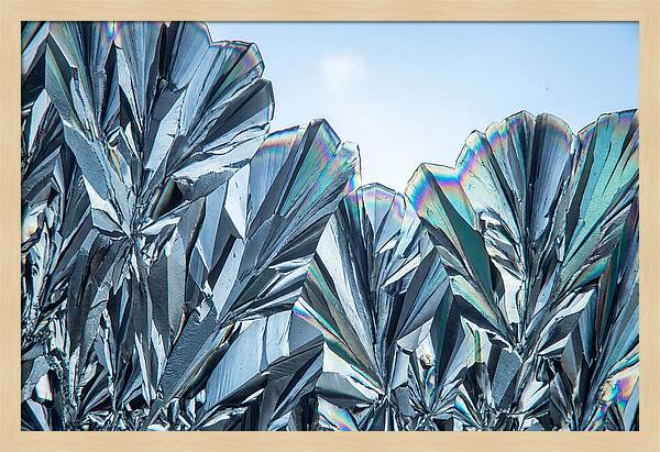 Microscopic Crystal Growth