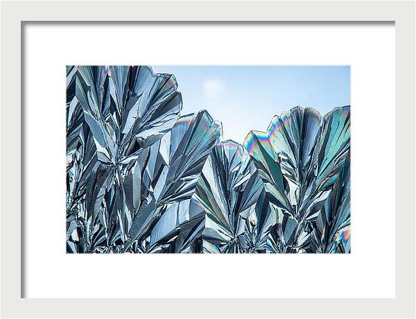 Microscopic Crystal Growth