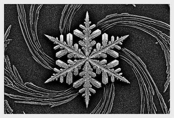 Microscopic Snowflake Crystal