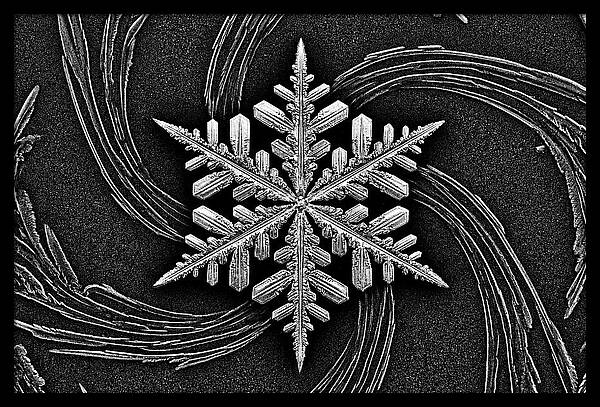 Microscopic Snowflake Crystal