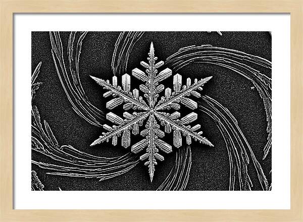 Microscopic Snowflake Crystal