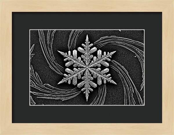 Microscopic Snowflake Crystal