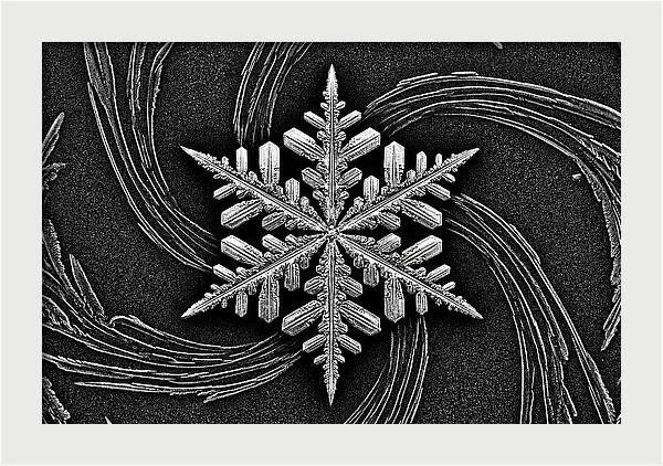 Microscopic Snowflake Crystal