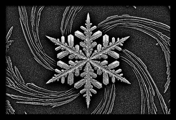 Microscopic Snowflake Crystal