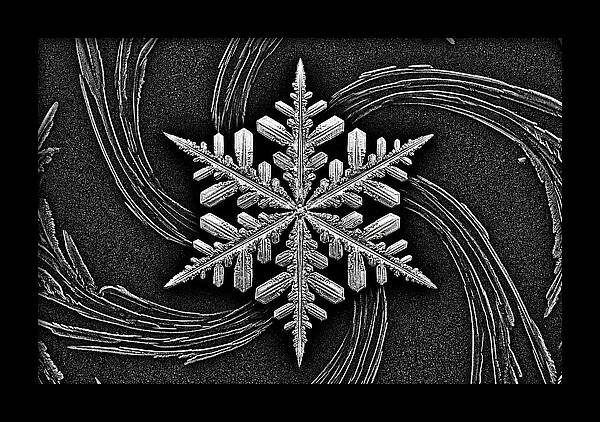 Microscopic Snowflake Crystal