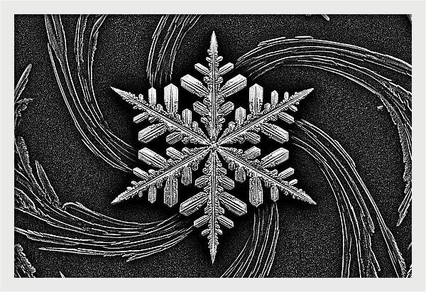 Microscopic Snowflake Crystal