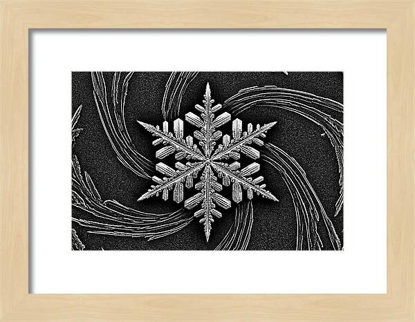 Microscopic Snowflake Crystal