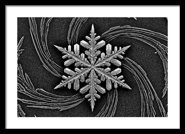 Microscopic Snowflake Crystal