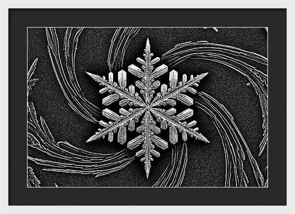 Microscopic Snowflake Crystal