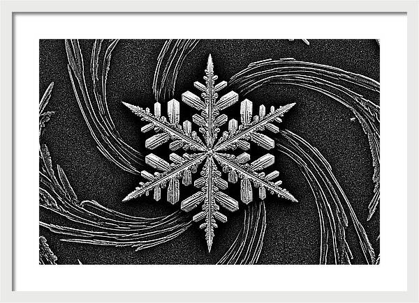 Microscopic Snowflake Crystal
