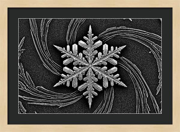 Microscopic Snowflake Crystal